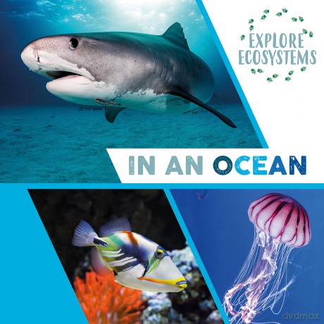 Explore Ecosystems In An Ocean - Sarah Ridley [KSIĄŻKA]