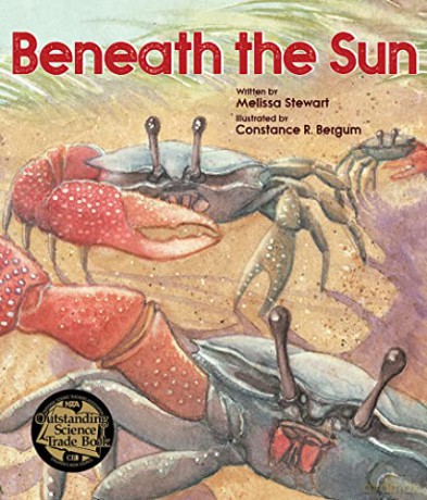 Beneath The Sun - Melissa Stewart [KSIĄŻKA]