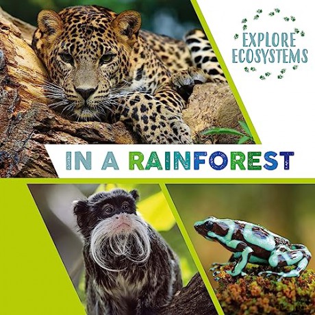 Explore Ecosystems In A Rainforest - Sarah Ridley [KSIĄŻKA]