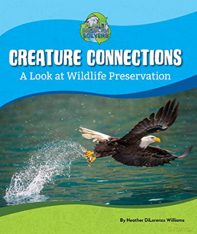 Creature Connections - Heather Dilorenzo Wi [KSIĄŻKA]