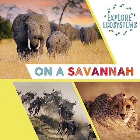Explore Ecosystems In A Savannah - Sarah Ridley [KSIĄŻKA]