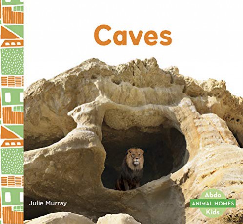 Caves - Julie Murray [KSIĄŻKA]