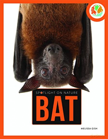 Bat - Melissa Gah [KSIĄŻKA]