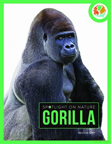 Gorilla - Melissa Gah [KSIĄŻKA]