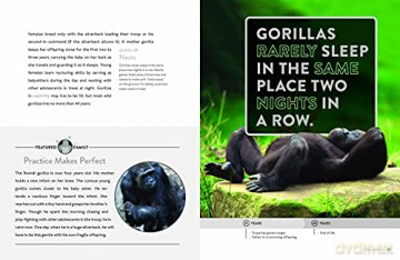 Gorilla - Melissa Gah [KSIĄŻKA]