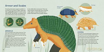 Amazing Animals Around The World - Dgph Studio [KSIĄŻKA]
