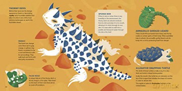 Amazing Animals Around The World - Dgph Studio [KSIĄŻKA]