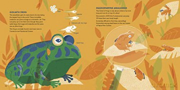 Amazing Animals Around The World - Dgph Studio [KSIĄŻKA]