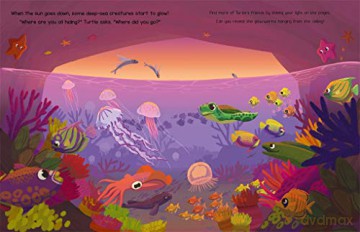 Hideandseek Underwater Animals - Unknown [KSIĄŻKA]