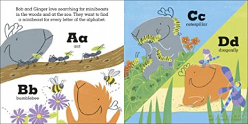 Guinea Pigs Go Bug Hunting - Kate Sheehy [KSIĄŻKA]