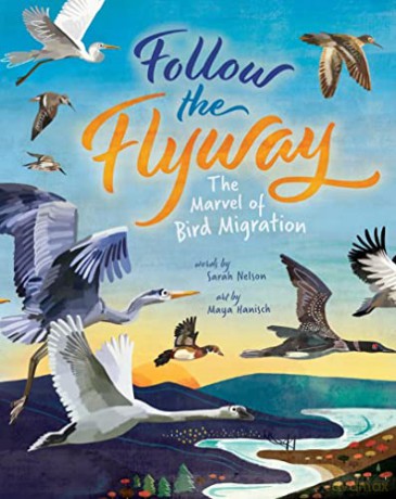 Follow The Flyway - Sarah Nelson [KSIĄŻKA]