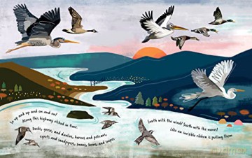 Follow The Flyway - Sarah Nelson [KSIĄŻKA]