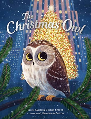 Christmas Owl - Gideon Sterer [KSIĄŻKA]