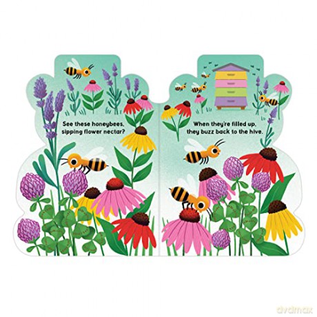 Honey Bear Hive Shaped Board Book - Jilanne Hoffmann [KSIĄŻKA]