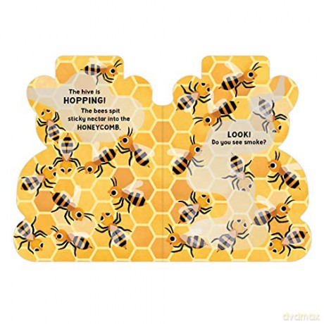 Honey Bear Hive Shaped Board Book - Jilanne Hoffmann [KSIĄŻKA]