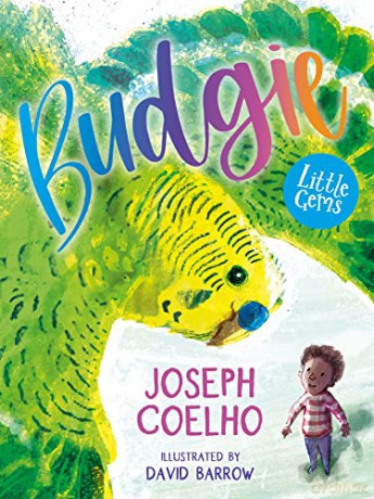 Budgie - Joseph Coelho [KSIĄŻKA]