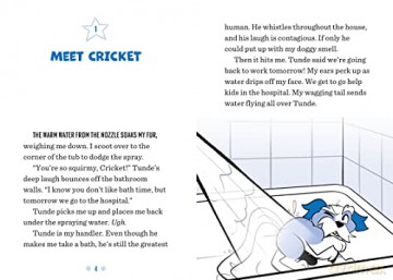 Cricket Helps Out - Pat Mccaw [KSIĄŻKA]