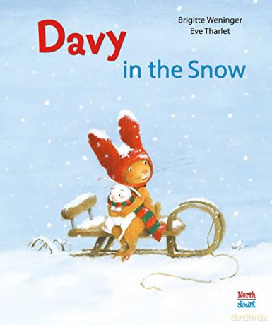 Davy In The Snow - Brigitte Weninger [KSIĄŻKA]