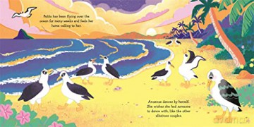 Aloha Albatross - Francesca Dryden [KSIĄŻKA]
