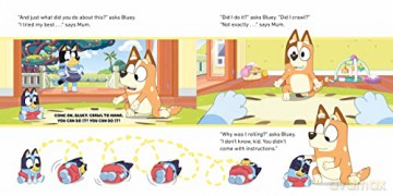 Bluey Baby Race [KSIĄŻKA]