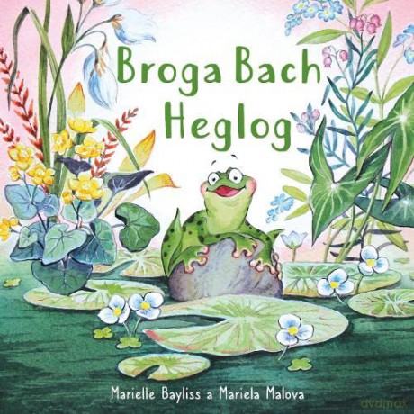 Broga Bach Heglog - BaylissMarielle [KSIĄŻKA]