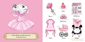 Claris Loves The Rainbow - Megan Hess [KSIĄŻKA]