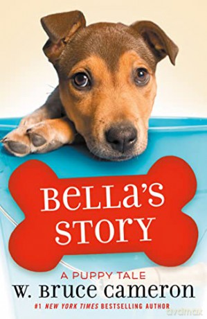 Bellas Story - Maria Venegas [KSIĄŻKA]