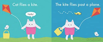 Cat Flies A Kite - Rebecca Purcell [KSIĄŻKA]