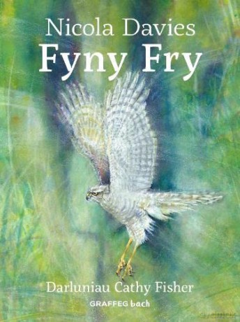 Fyny Fry - Nicola Davies [KSIĄŻKA]