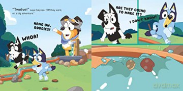 Barky Boats [KSIĄŻKA]