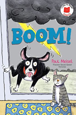 Boom - Paul Meisel [KSIĄŻKA]