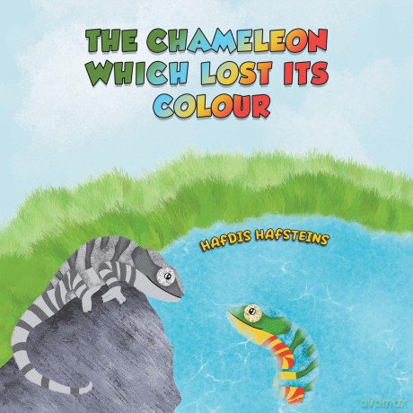 Chameleon Which Lost Its Colour - Hafdis Hafsteins [KSIĄŻKA]