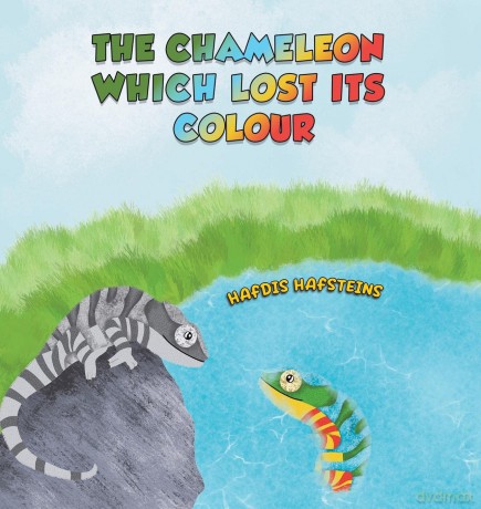 Chameleon Which Lost Its Colour - Hafdis Hafsteins [KSIĄŻKA]
