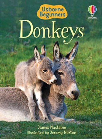 Donkeys - James Maclaine [KSIĄŻKA]