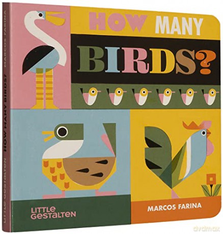 How Many Birds - Marcos Farina [KSIĄŻKA]