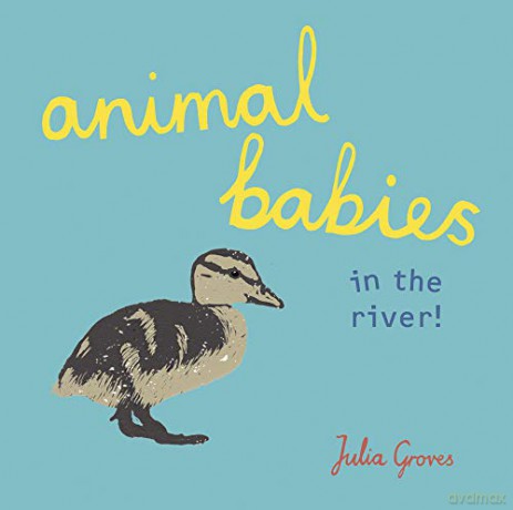 Animal Babies In The River - Julia Groves [KSIĄŻKA]