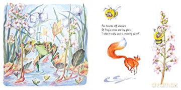 Frogs Bog - Marielle Bayliss [KSIĄŻKA]