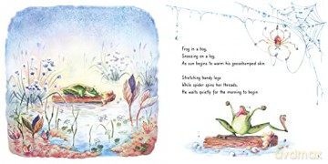 Frogs Bog - Marielle Bayliss [KSIĄŻKA]
