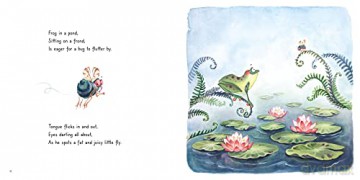 Frogs Bog - Marielle Bayliss [KSIĄŻKA]