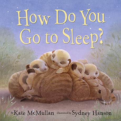 How Do You Go To Sleep - Kate Mcmullan [KSIĄŻKA]