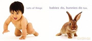 Babies Bunnies Book - Schindel John [KSIĄŻKA]