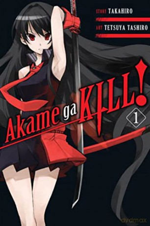 Akame Ga Kill Vol 1 - Takahiro [KSIĄŻKA]