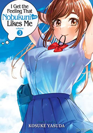 I Get The Feeling That Nobukunisan Likes - Kosuke Yasuda [KSIĄŻKA]
