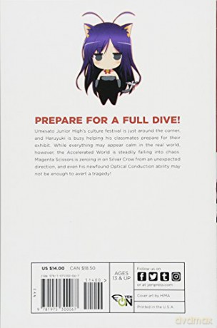 Accel World Vol 13 Light Novel - Reki Kawahara [KSIĄŻKA]