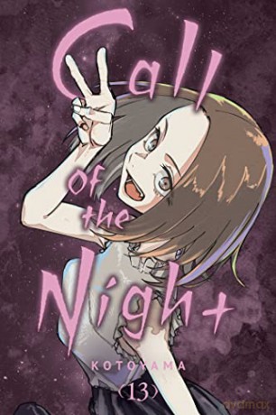 Call Of The Night Vol 13 - Kotoyama [KSIĄŻKA]