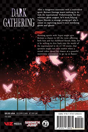 Dark Gathering Vol 2 - Kenichi Kondo [KSIĄŻKA]
