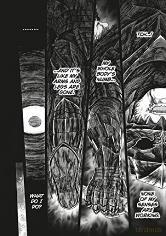 Berserk Deluxe Volume 13 - Kentaro Miura [KSIĄŻKA]