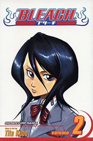 Bleach 2 - Tite Kubo [KSIĄŻKA]