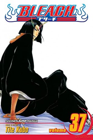 Bleach 37 - Tite Kubo [KSIĄŻKA]