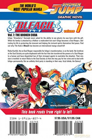 Bleach 7 - Tite Kubo [KSIĄŻKA]